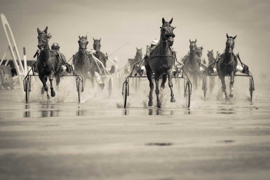 Horse Tools of Speed Assessment