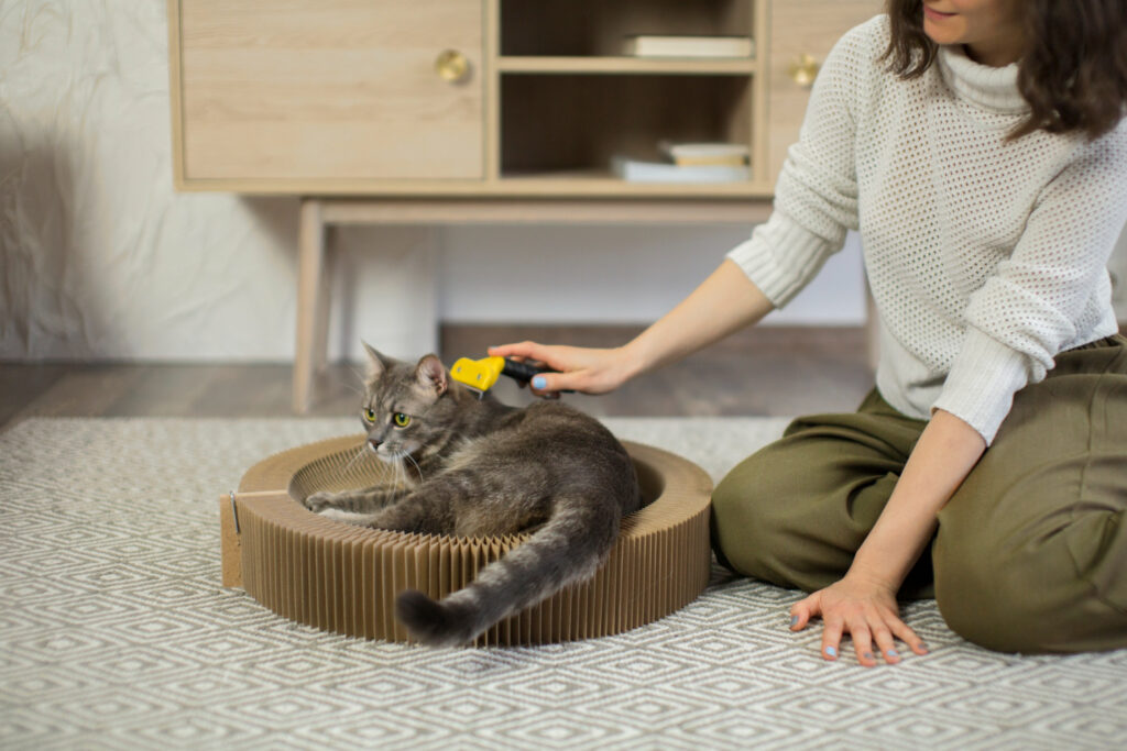 Common Mistakes to Avoid When Changing Cat Litter