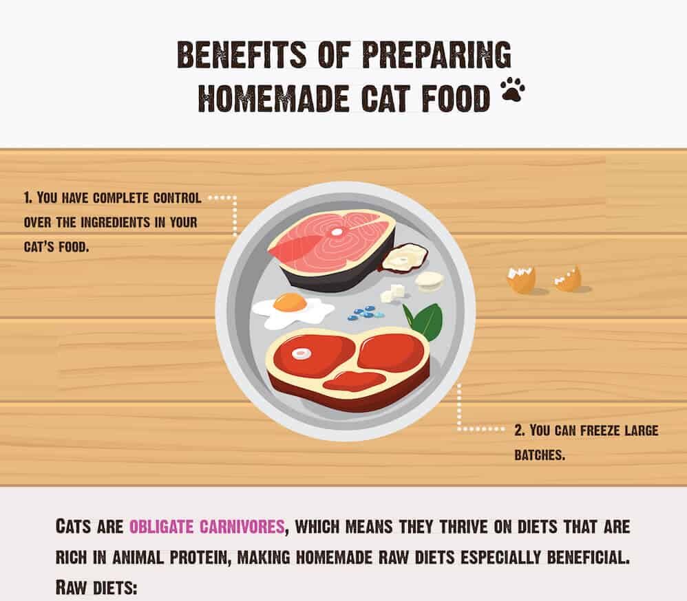 How to Make Your Own Cat Food